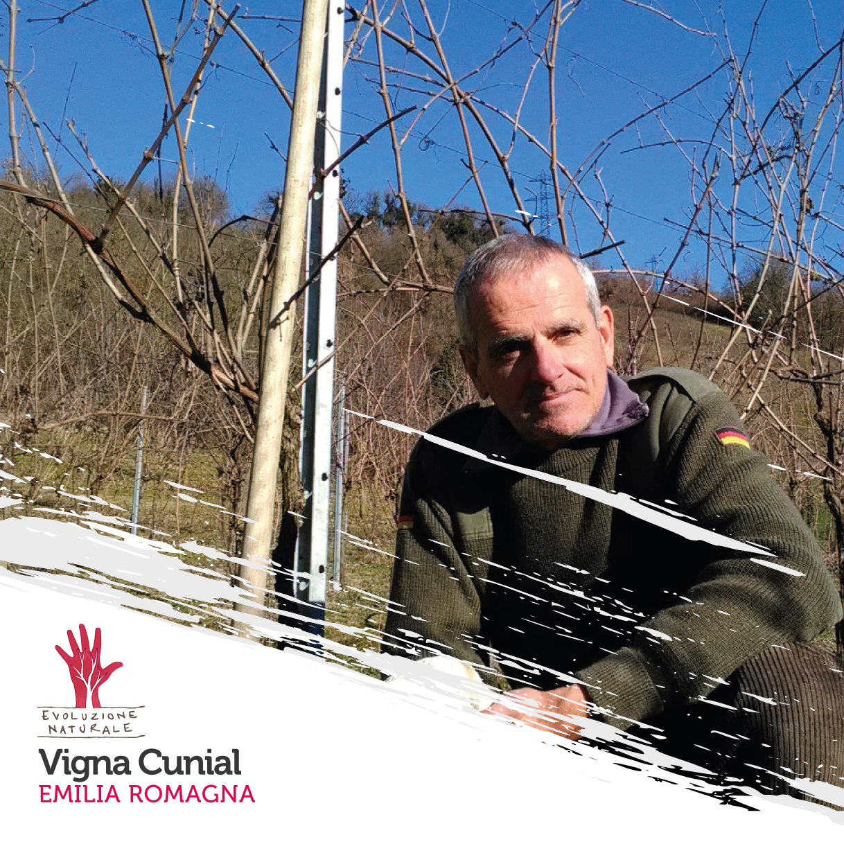 Scopri di più sull'articolo Vigna Cunial