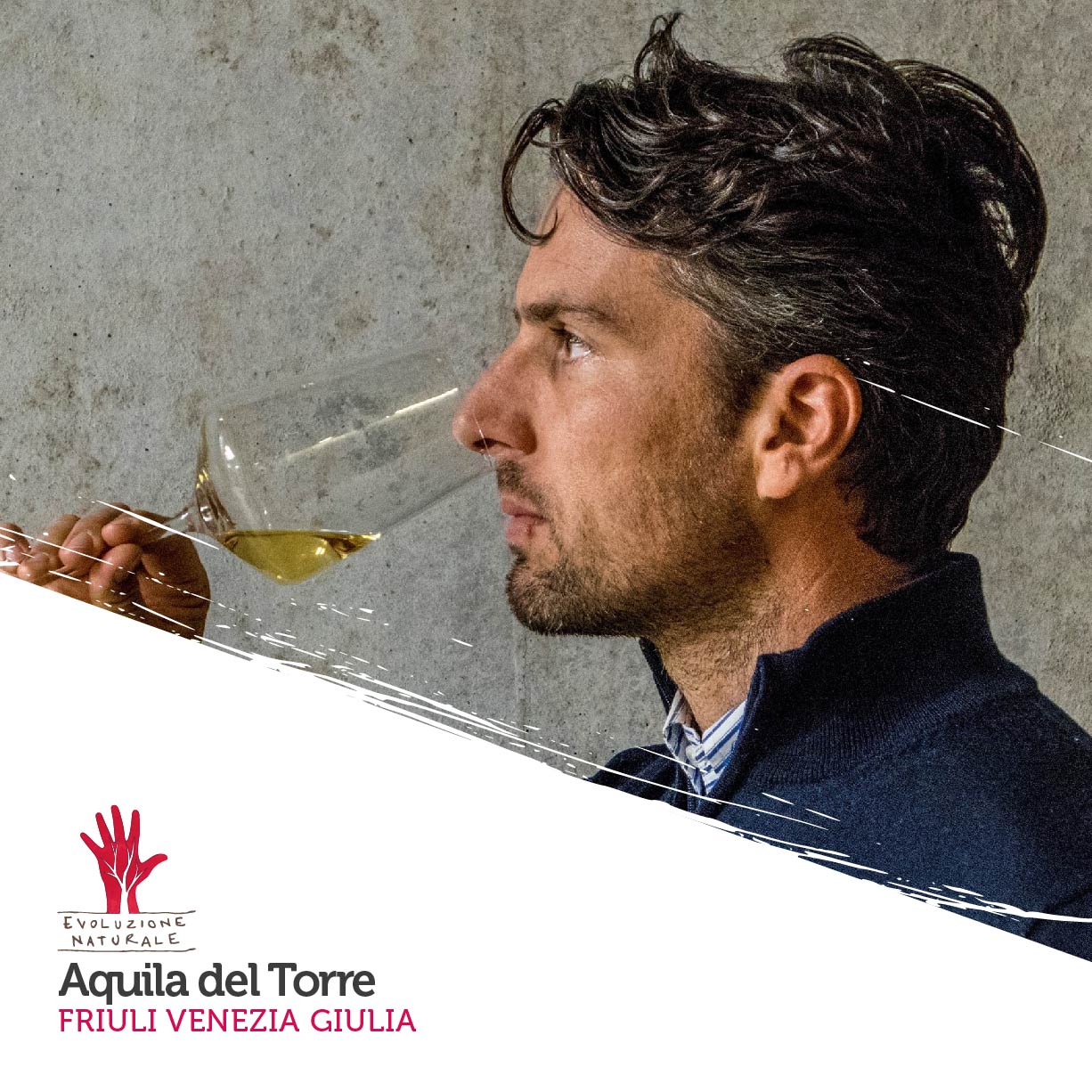 Scopri di più sull'articolo Aquila del Torre