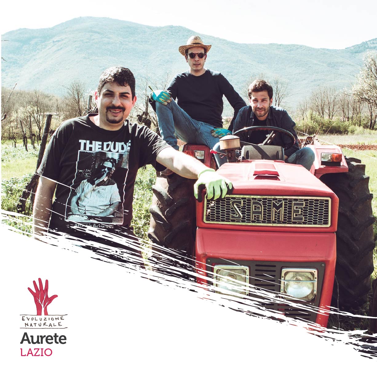 Scopri di più sull'articolo Aurete