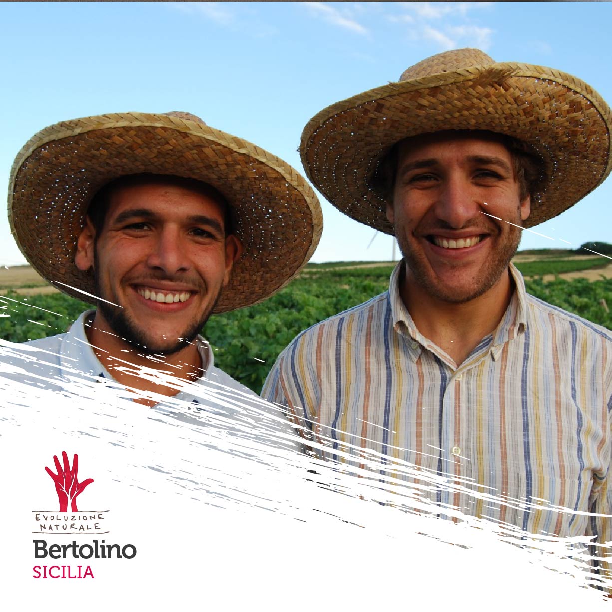 Scopri di più sull'articolo Bertolino