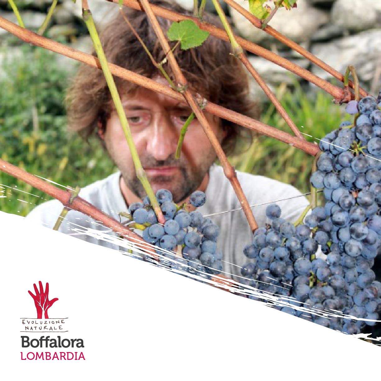 Scopri di più sull'articolo Boffalora