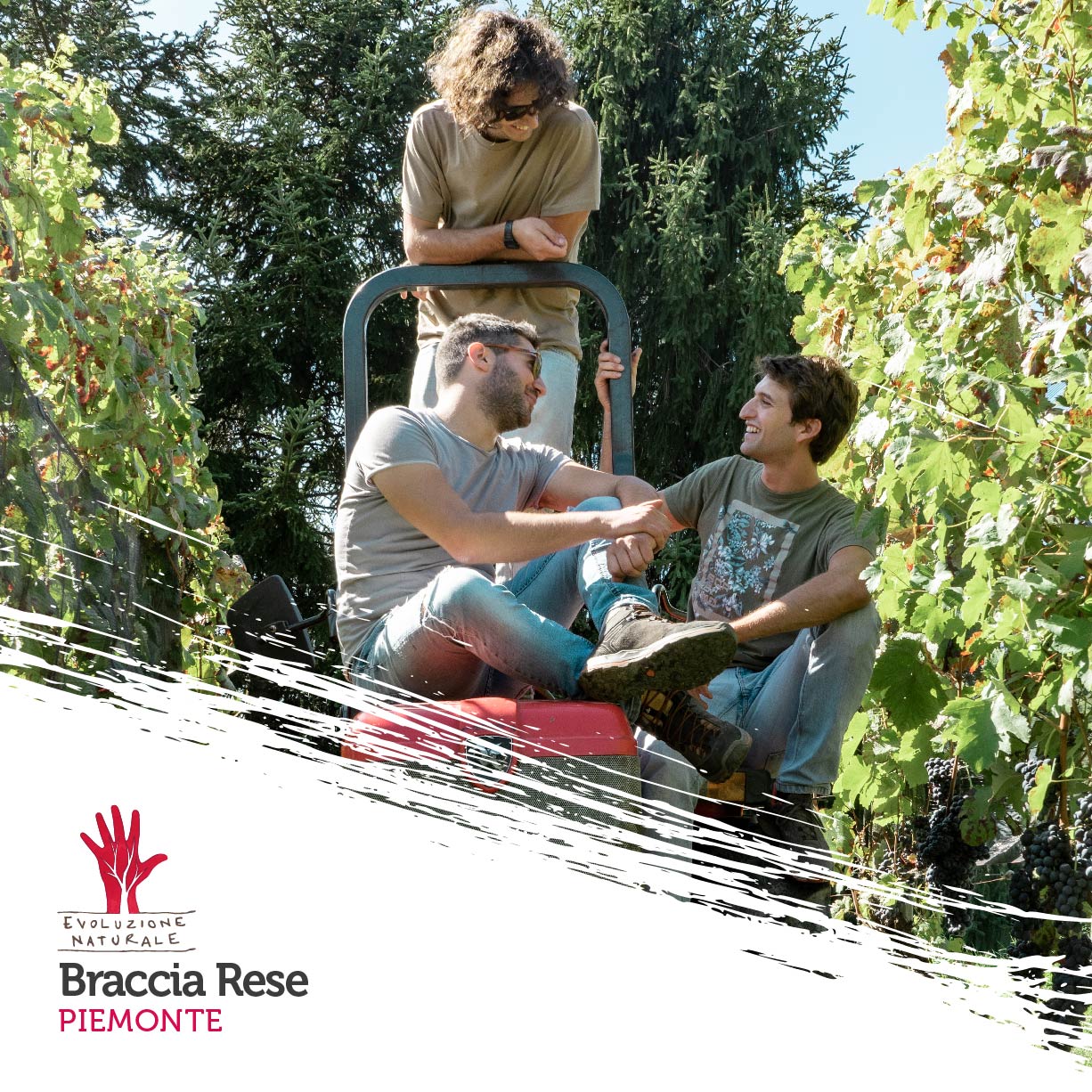 Scopri di più sull'articolo Braccia Rese