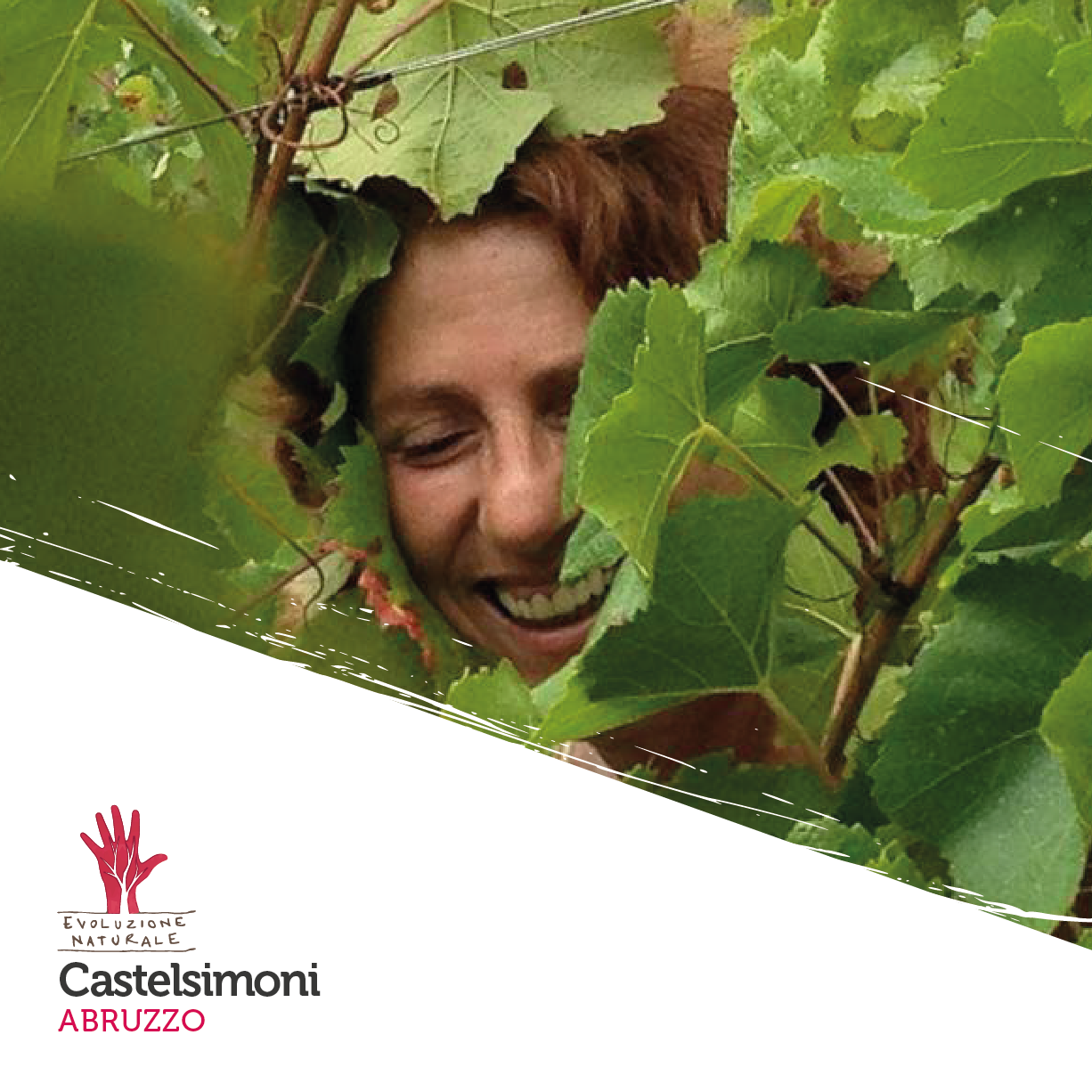 Scopri di più sull'articolo Castelsimoni