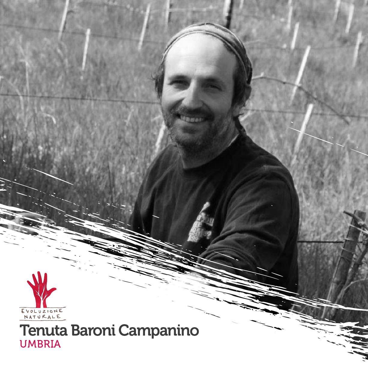 Scopri di più sull'articolo Tenuta Baroni Campanino