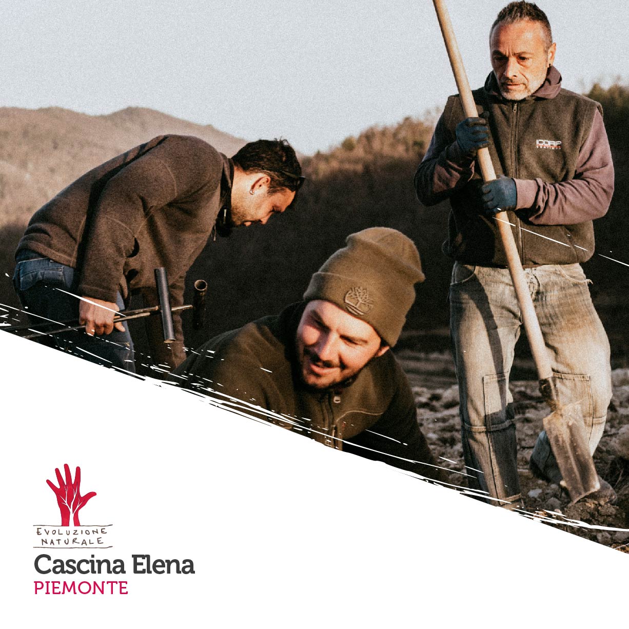 Scopri di più sull'articolo Cascina Elena