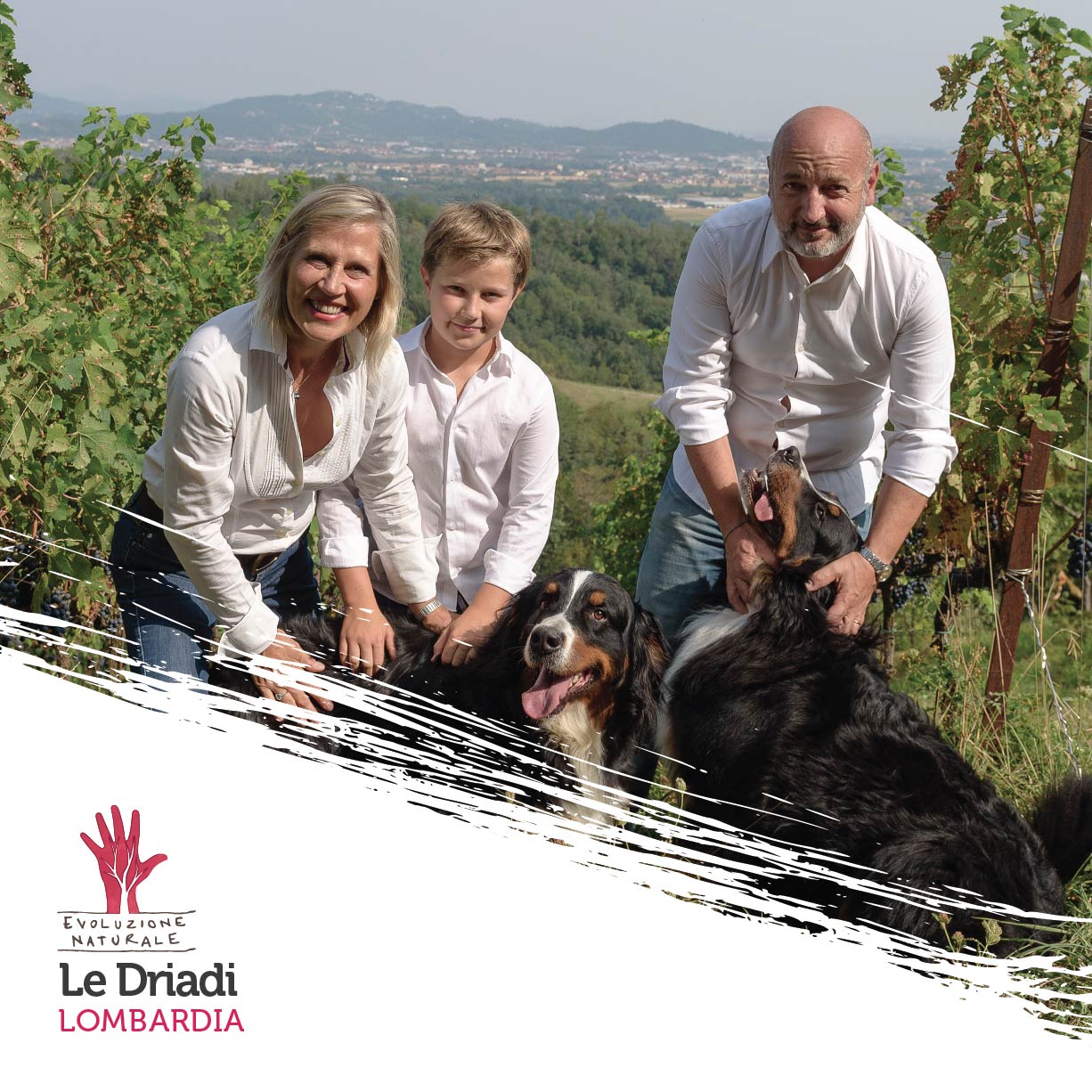 Scopri di più sull'articolo Le Driadi