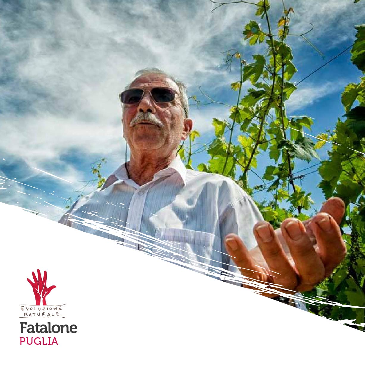 Scopri di più sull'articolo Fatalone