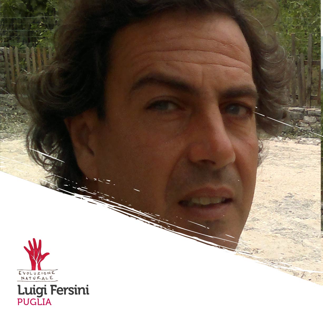 Scopri di più sull'articolo Luigi Fersini