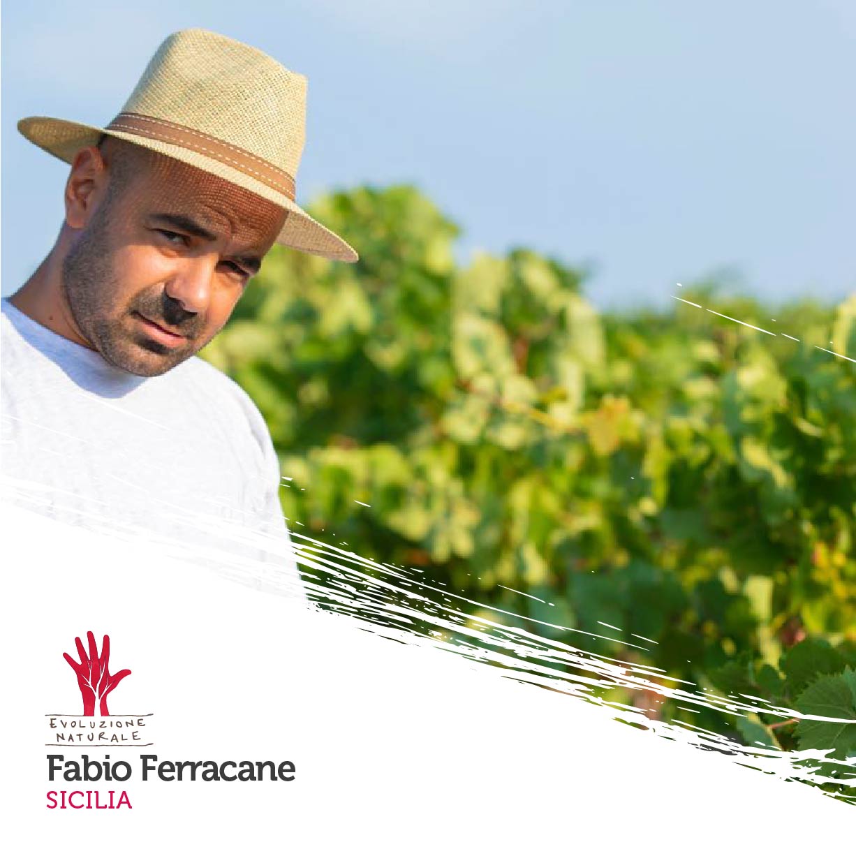 Scopri di più sull'articolo Fabio Ferracane