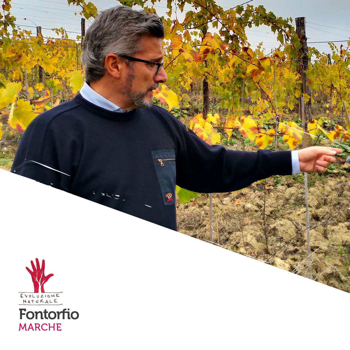 Scopri di più sull'articolo Fontorfio