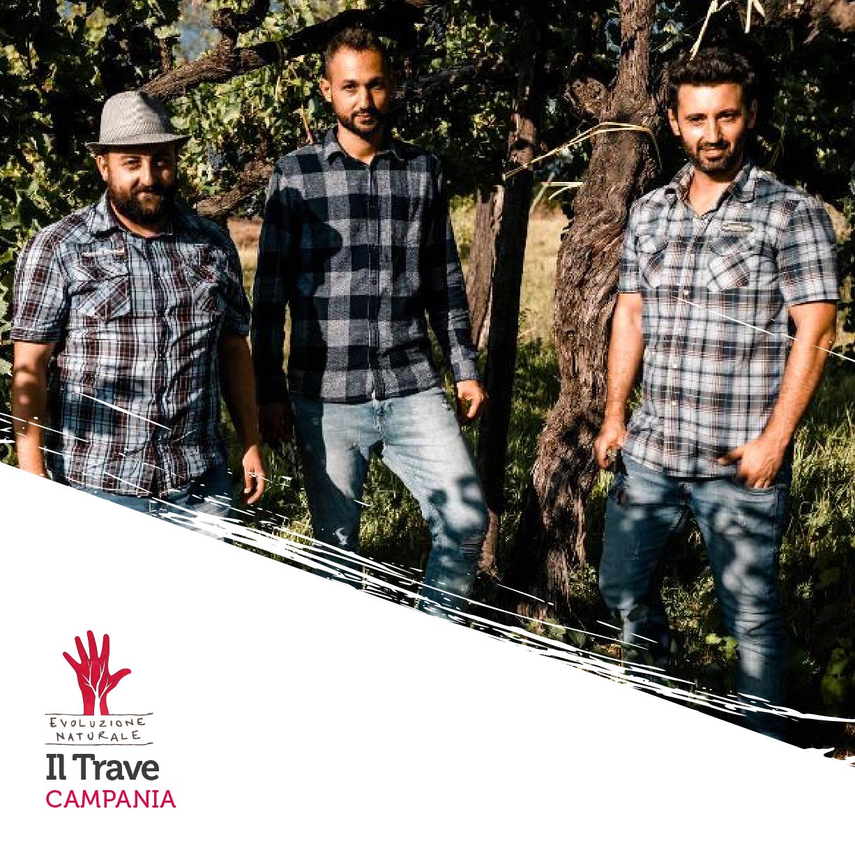 Scopri di più sull'articolo Il Trave