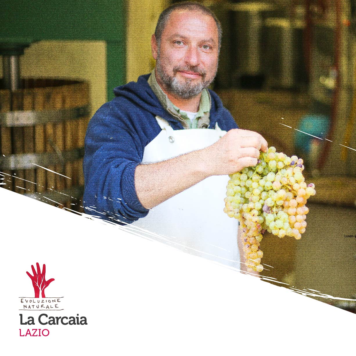 Scopri di più sull'articolo La Carcaia