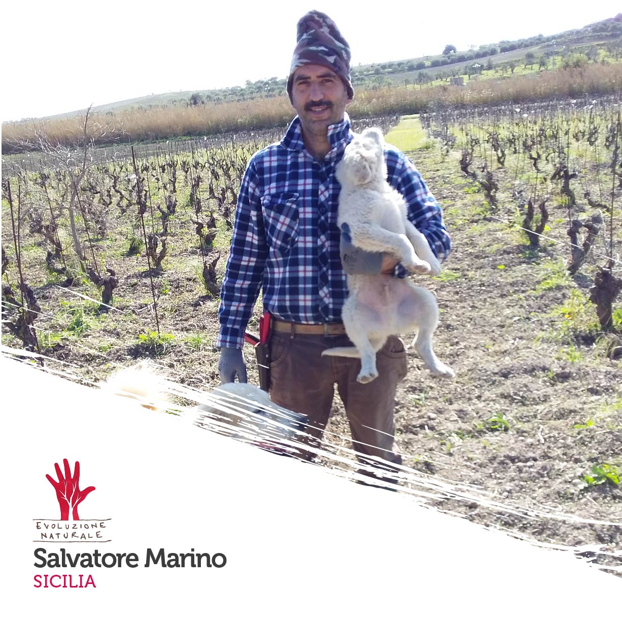 Scopri di più sull'articolo Salvatore Marino