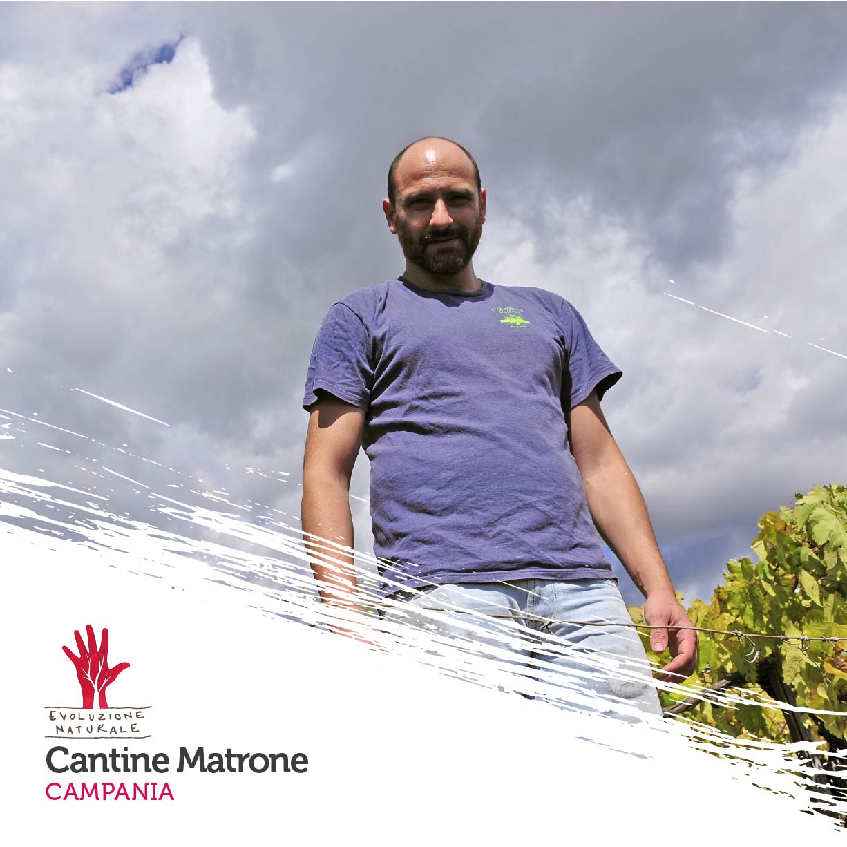 Scopri di più sull'articolo Cantine Matrone