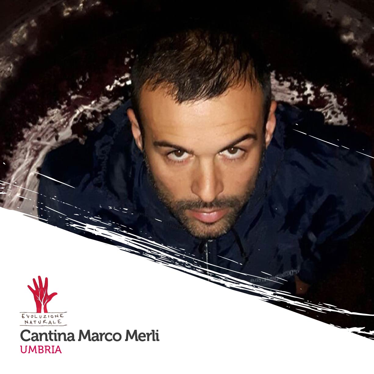 Scopri di più sull'articolo Cantina Marco Merli