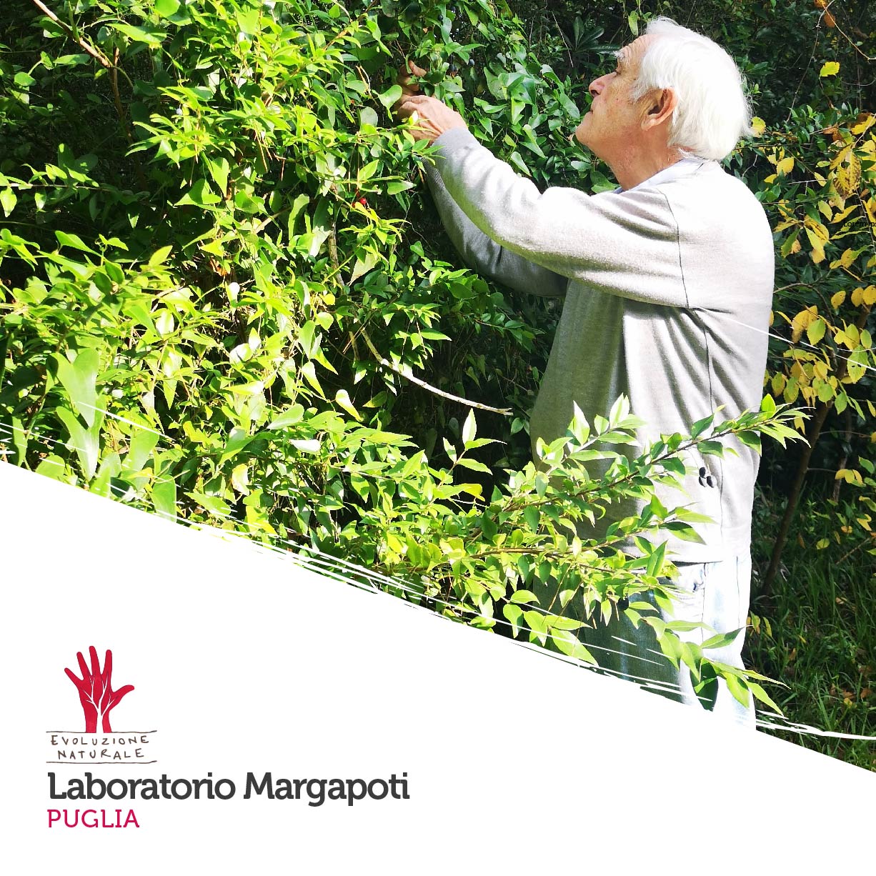 Scopri di più sull'articolo Laboratorio Margapoti