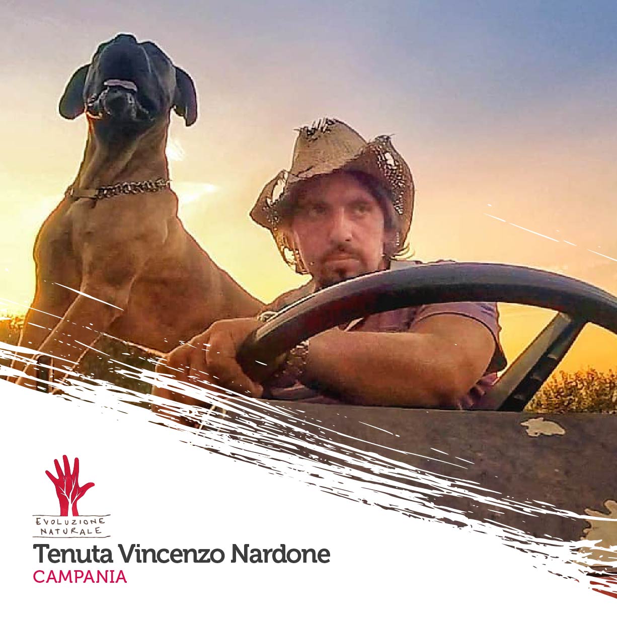 Scopri di più sull'articolo Tenuta Vincenzo Nardone