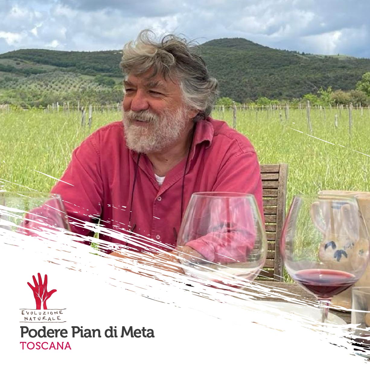 Scopri di più sull'articolo Podere Pian di Meta Vecchia