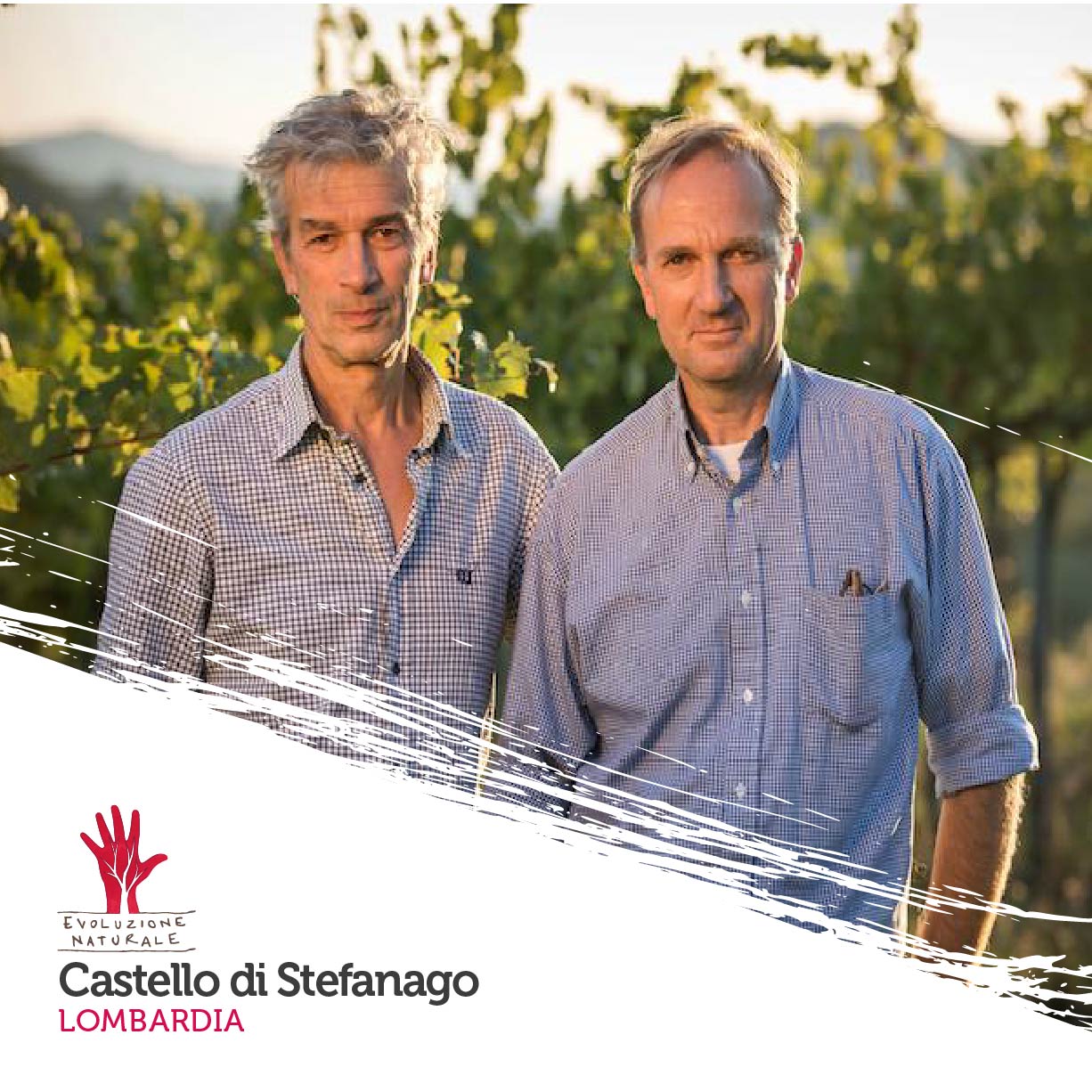 Scopri di più sull'articolo Castello di Stefanago