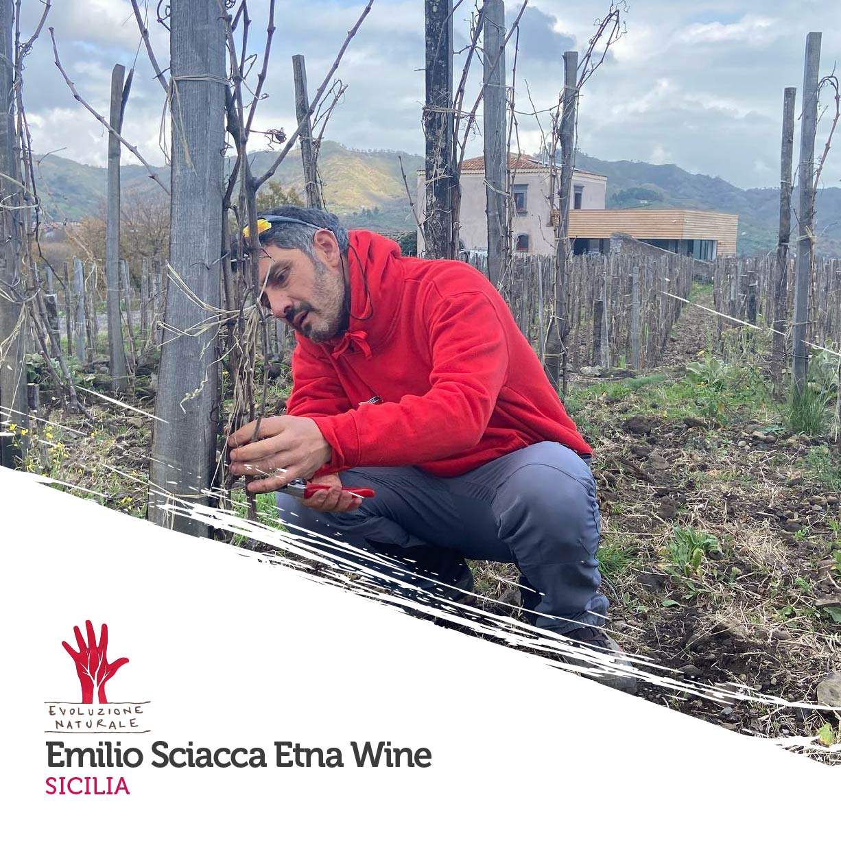 Scopri di più sull'articolo Emilio Sciacca Etna Wine