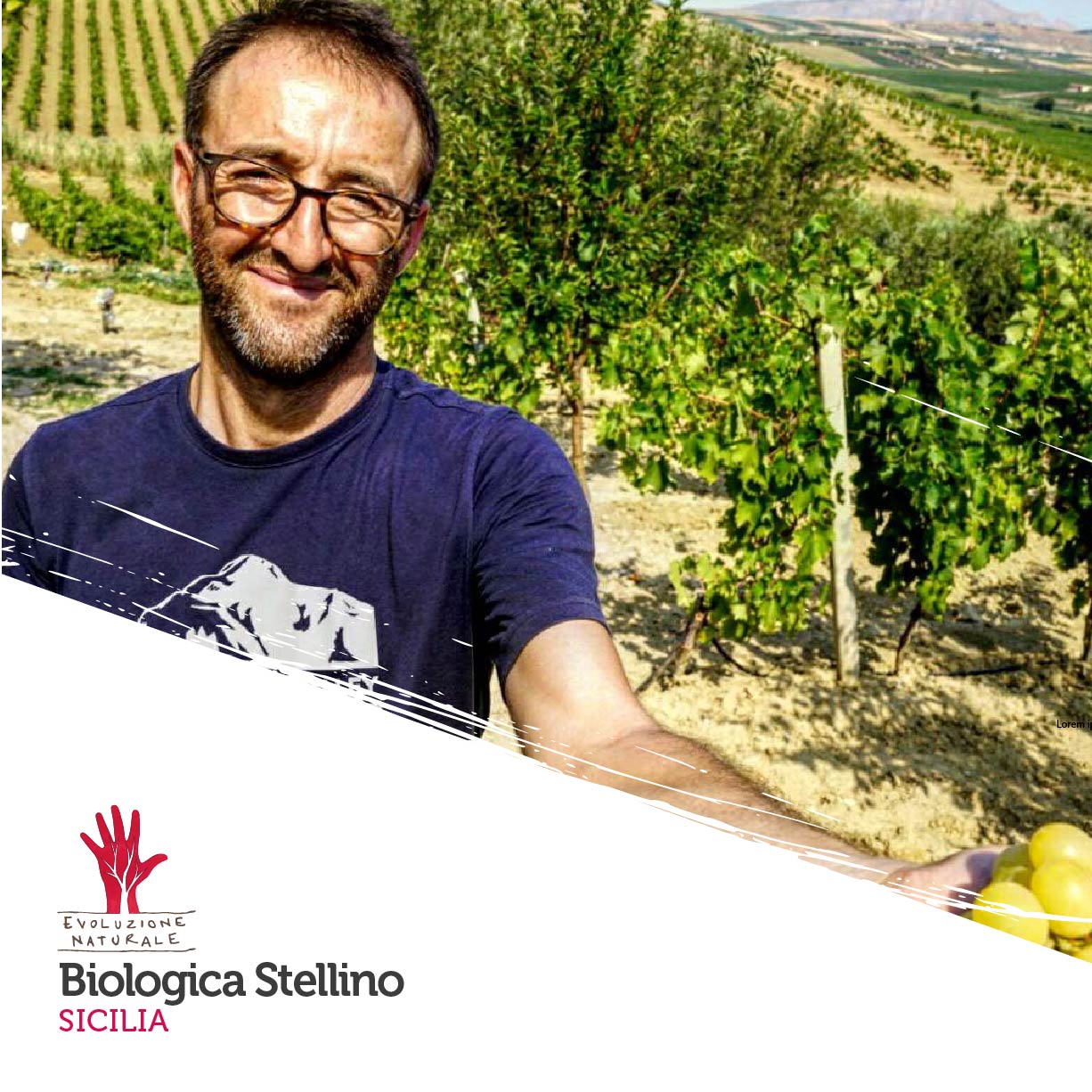 Scopri di più sull'articolo Biologica Stellino