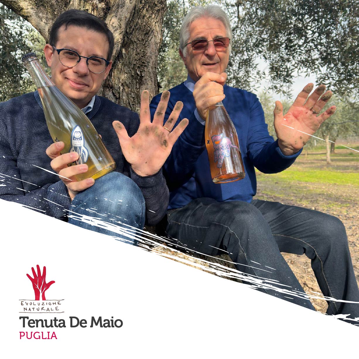 Scopri di più sull'articolo Tenuta De Maio