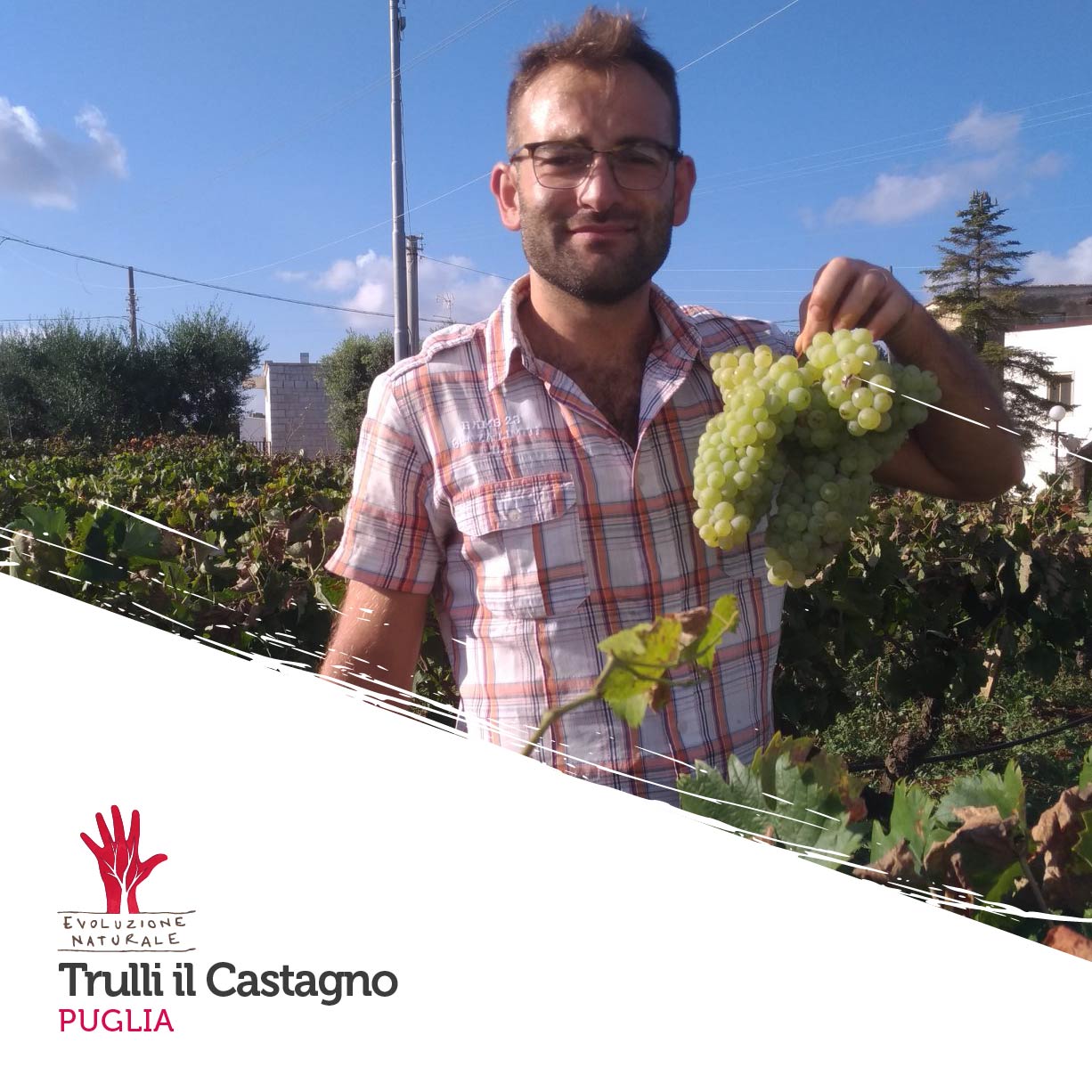 Scopri di più sull'articolo Trulli di Castagno