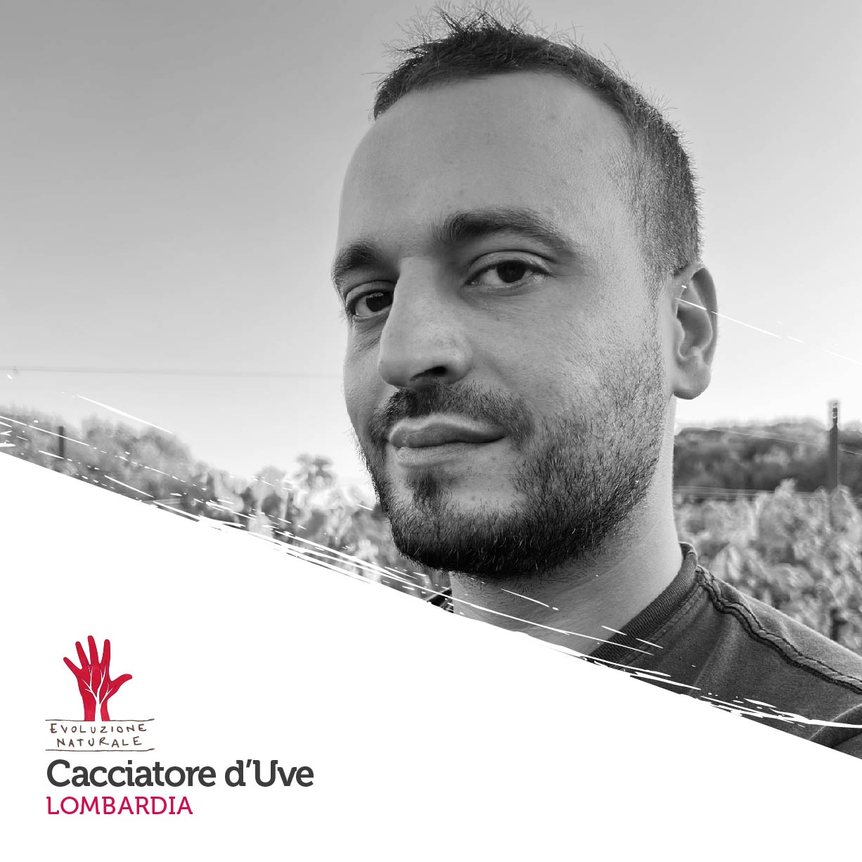 Scopri di più sull'articolo Cacciatore d’Uve