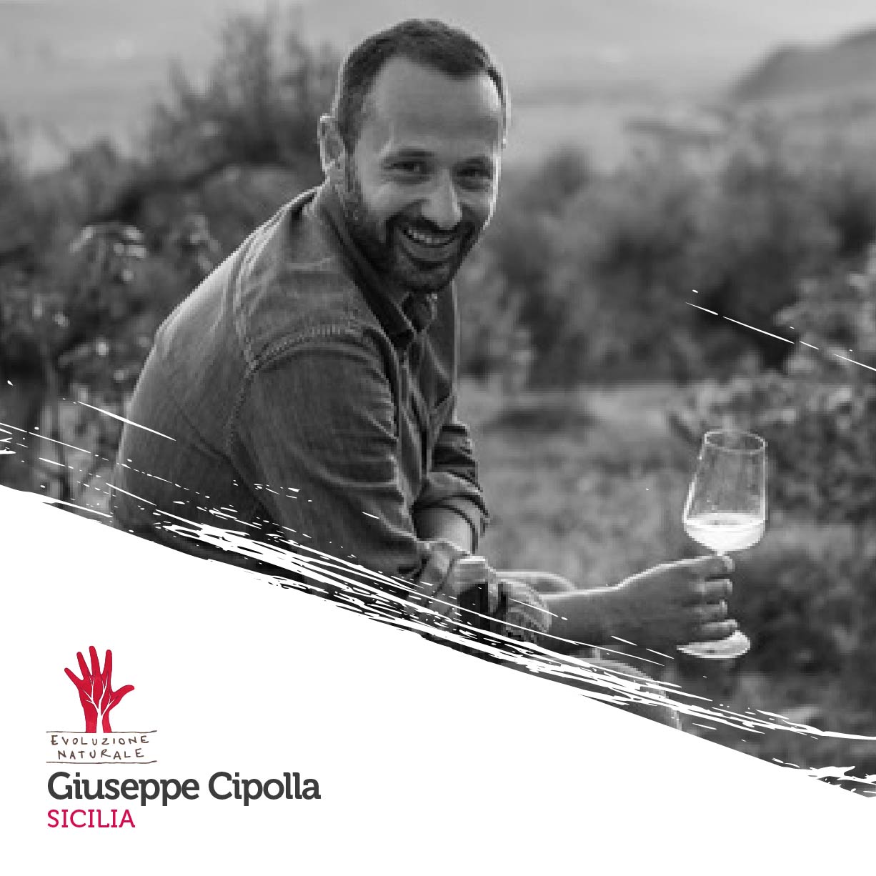 Scopri di più sull'articolo Giuseppe Cipolla