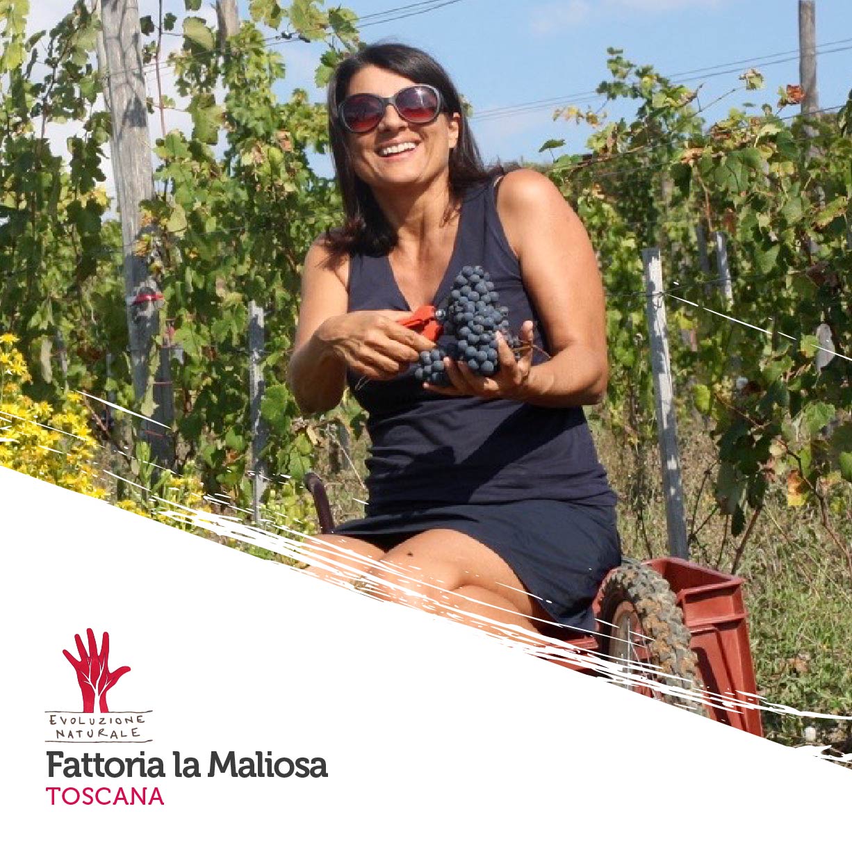 Scopri di più sull'articolo Fattoria la Maliosa