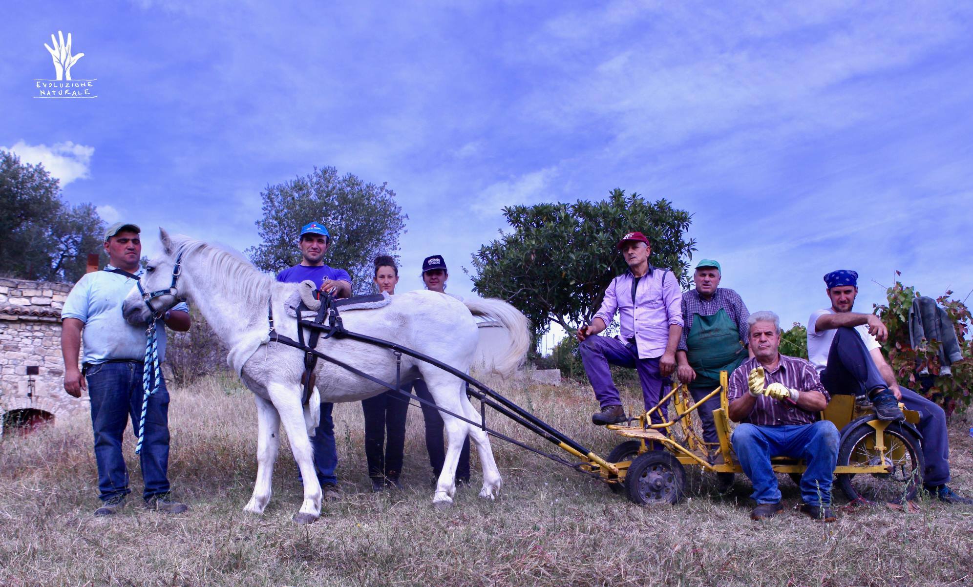 Scopri di più sull'articolo Agricola le Nuvole