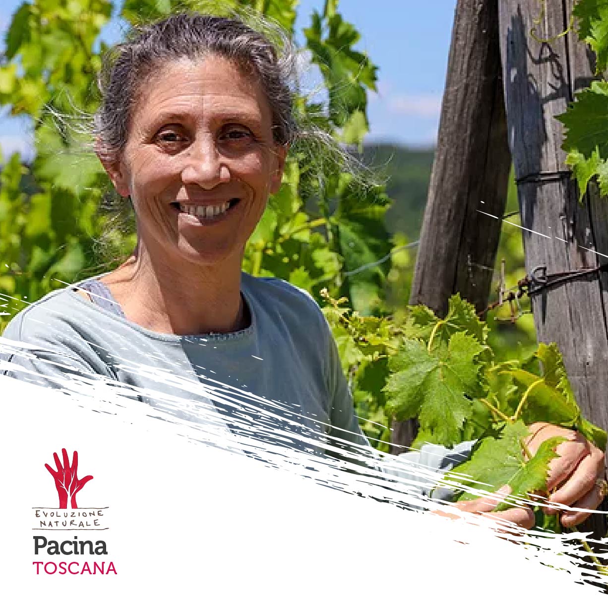 Scopri di più sull'articolo Pacina