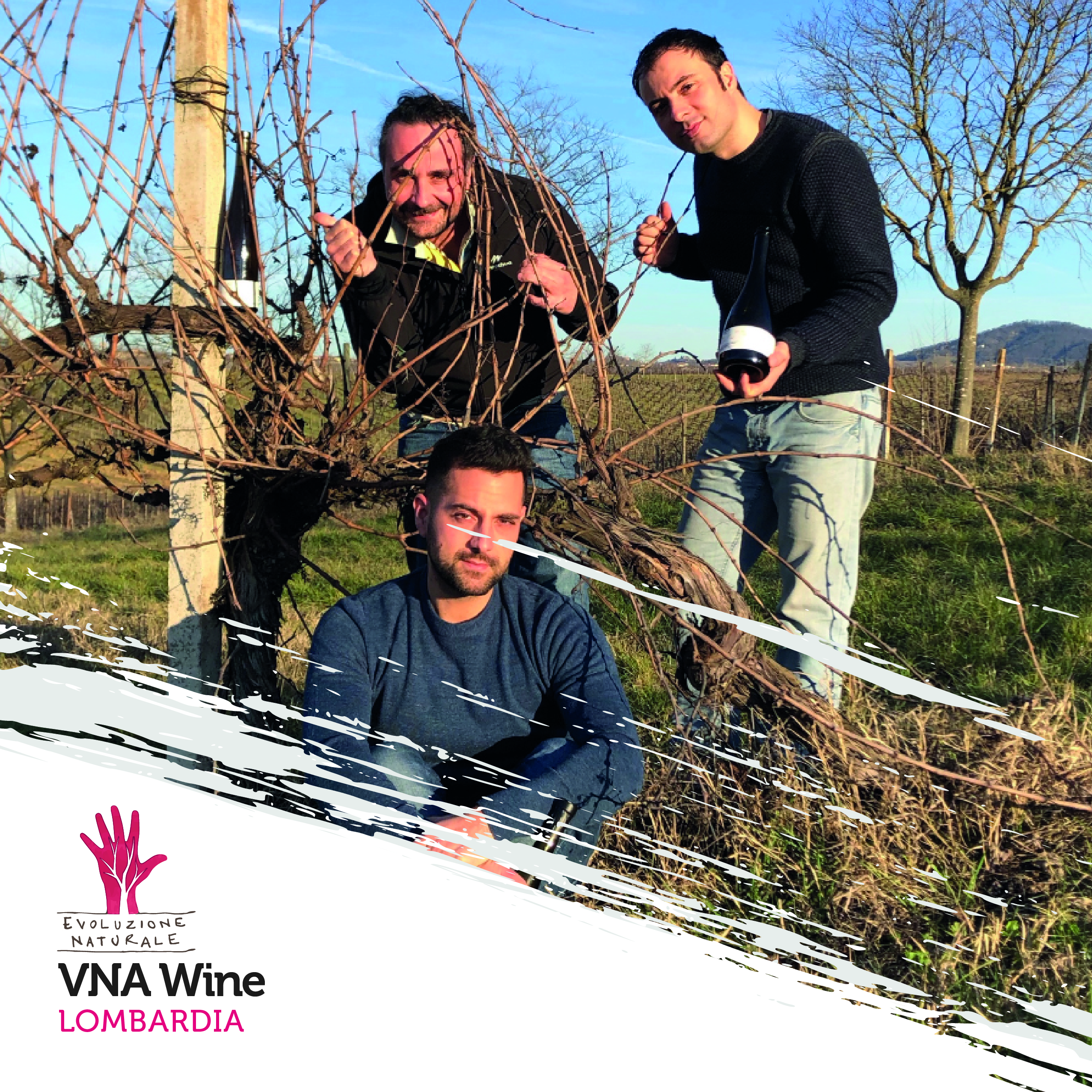 Scopri di più sull'articolo VNA Wine