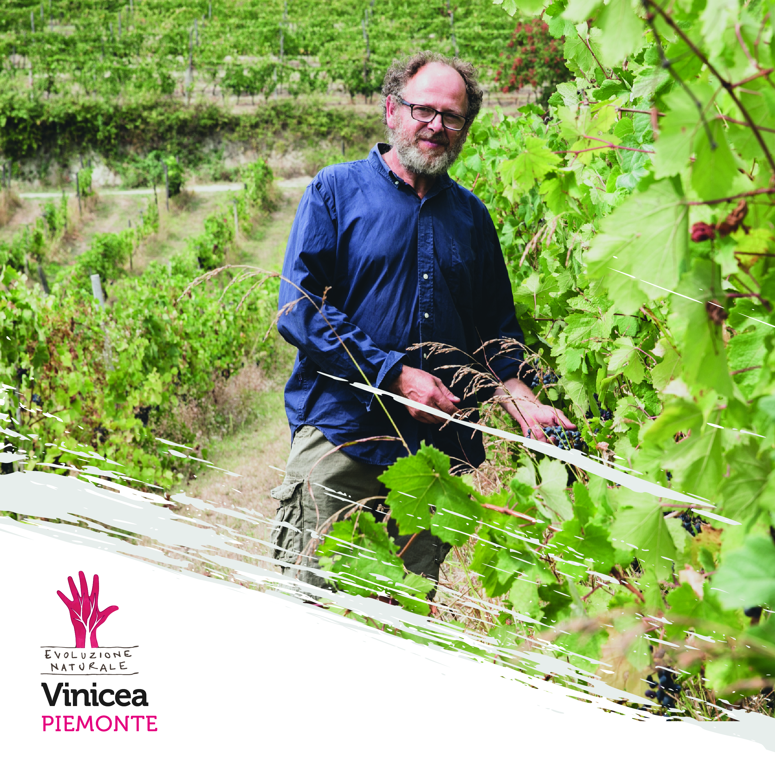 Scopri di più sull'articolo Vinicea