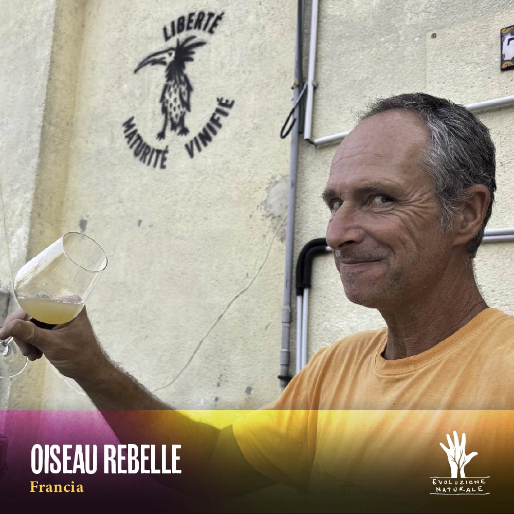 Scopri di più sull'articolo OISEAU REBELLE