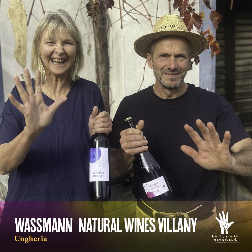 Scopri di più sull'articolo WASSMANN  Natural Wines VILLANY