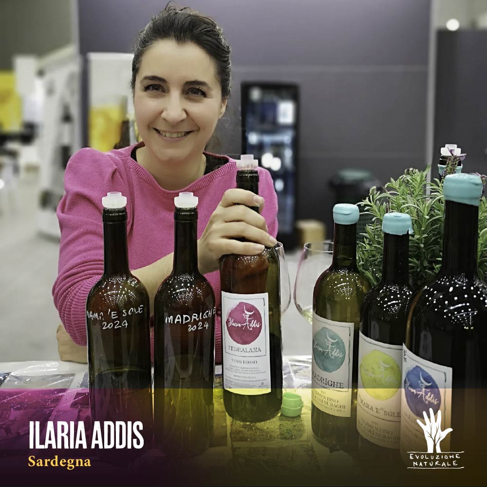 Scopri di più sull'articolo ILARIA ADDIS