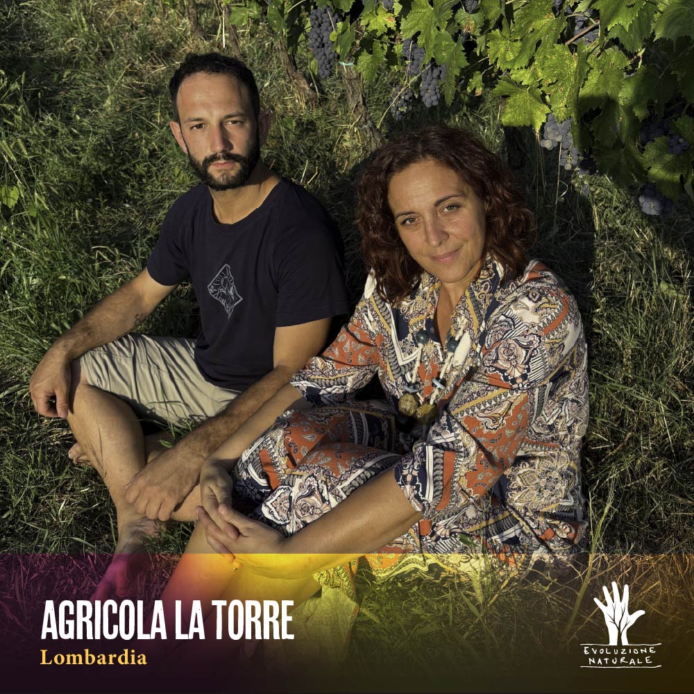 Scopri di più sull'articolo AGRICOLA LA TORRE