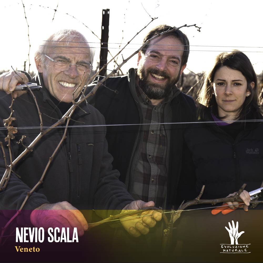 Scopri di più sull'articolo NEVIO SCALA