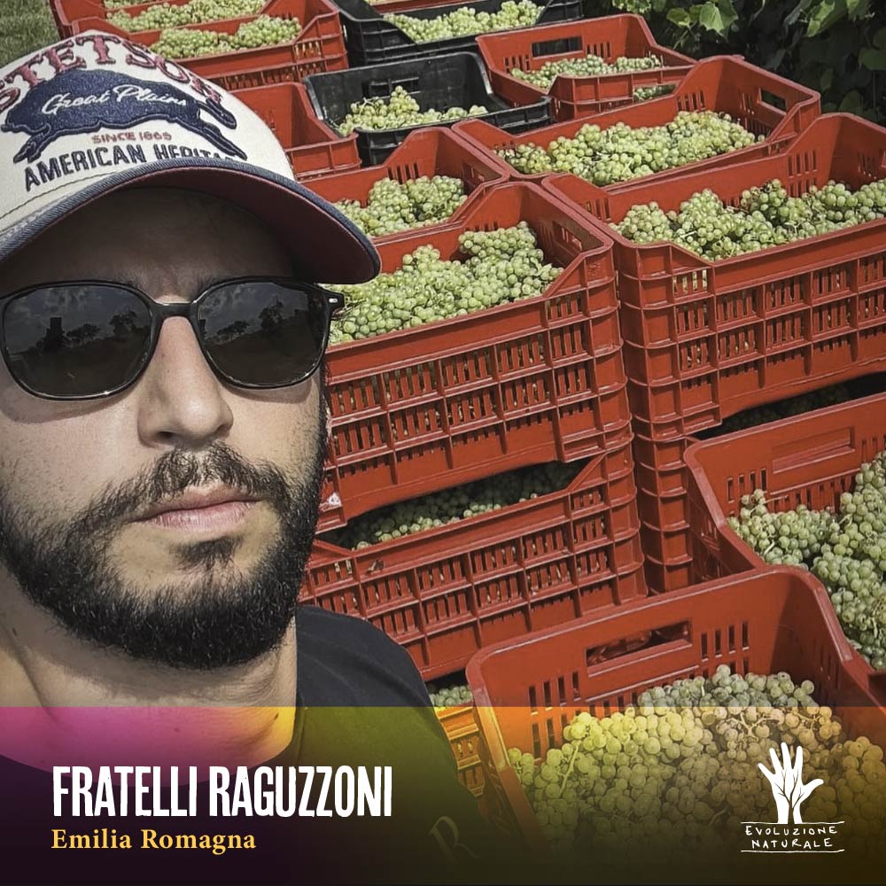 Scopri di più sull'articolo FRATELLI RAGUZZONI