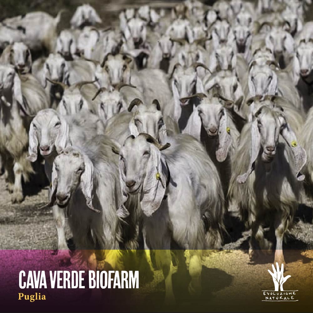 Scopri di più sull'articolo CAVA VERDE BIOFARM