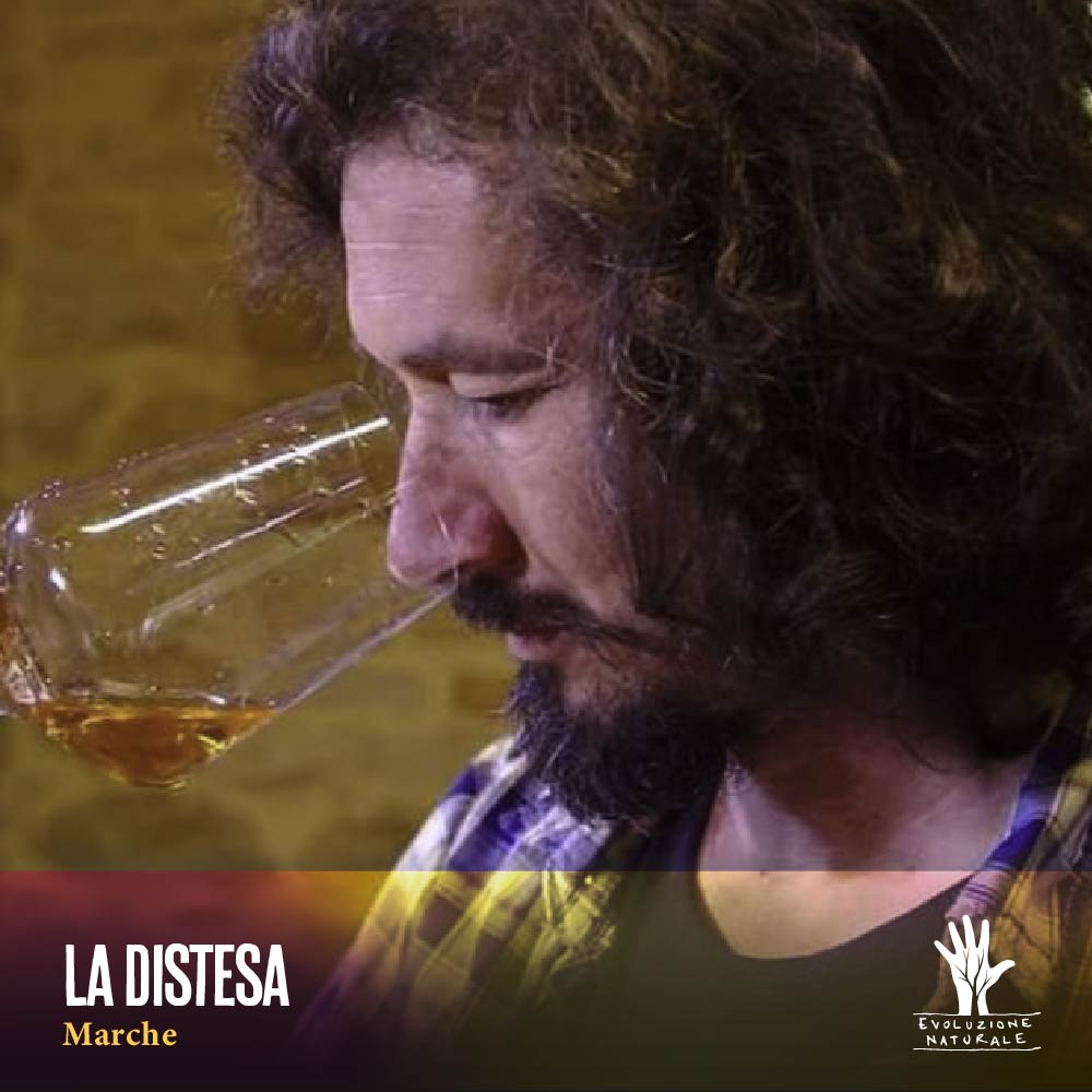 Scopri di più sull'articolo LA DISTESA